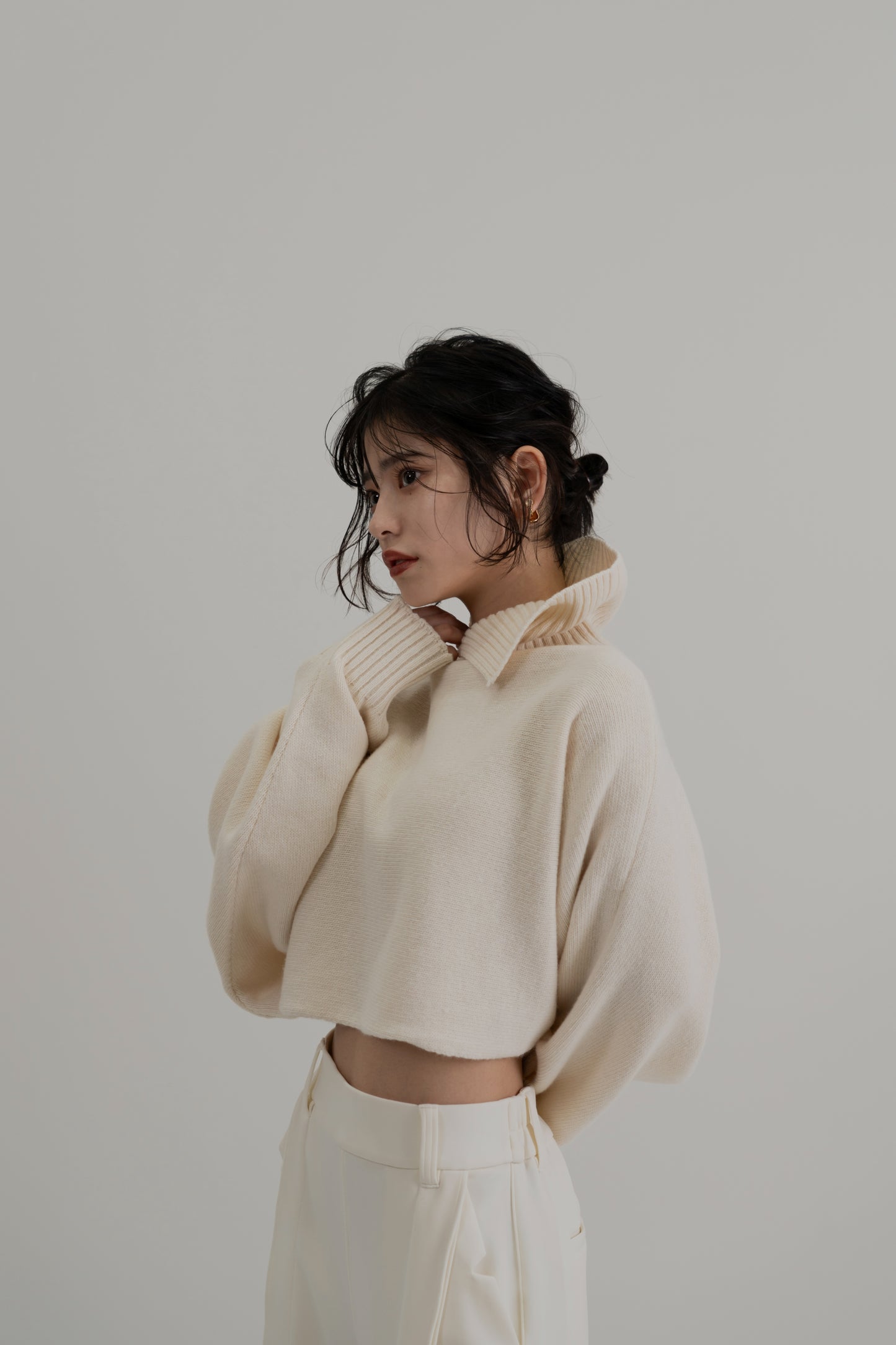Turtleneck Crop Knit
